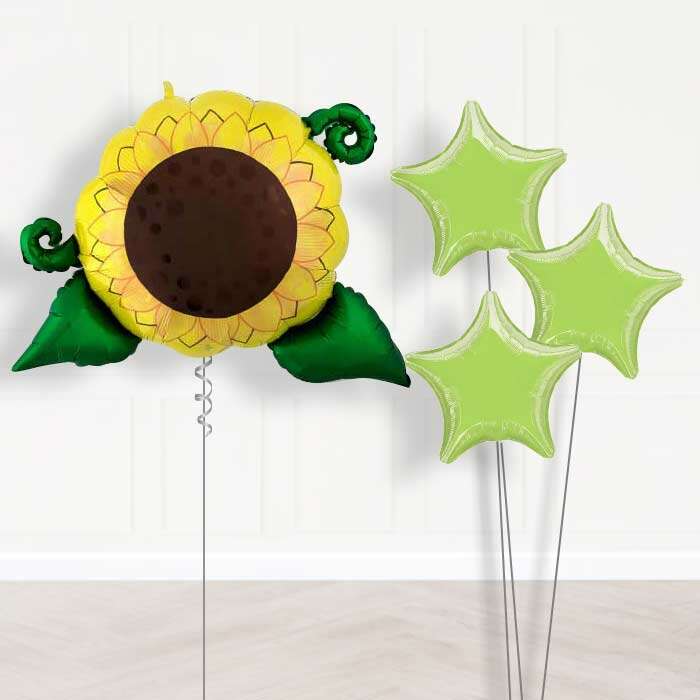 BOX4196501-Bouquet-1-x-Giant-Balloon-with-Plain-Bouquet_7e9220ec-321c-4f8a-b897-d2d1e57611f0