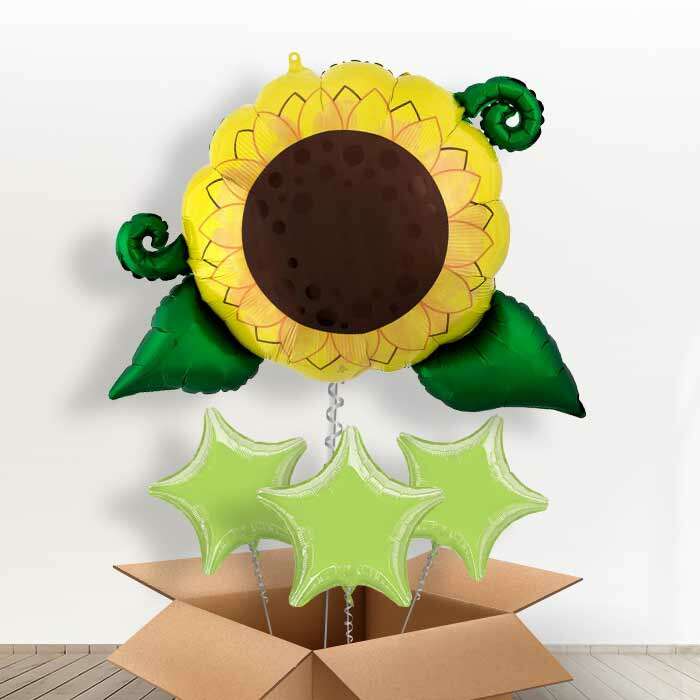 BOX4196501-with-3-Plain-Balloons_b781f509-d679-41a9-86b7-f289d562dcec