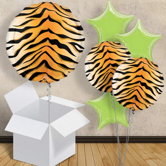 Tiger Print Balloons in Box - 1 Balloon | Small Indoor Plants
