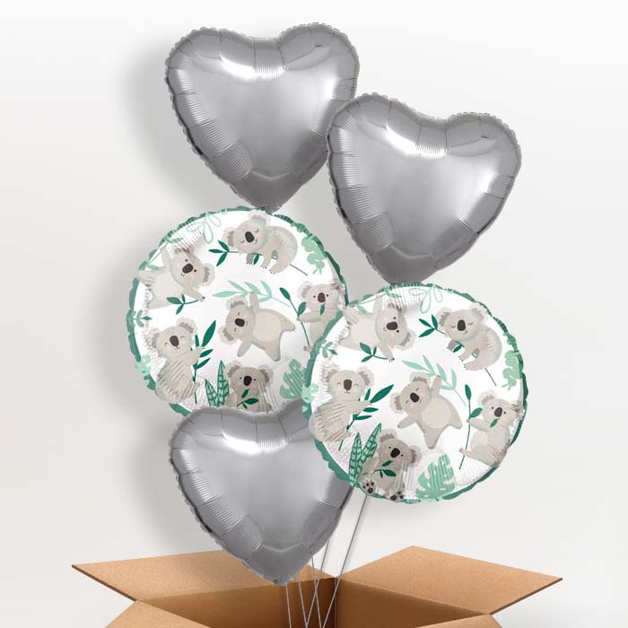 Koala Balloon in a Box - 5 Balloon | Small Indoor Plants