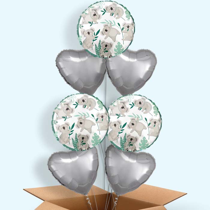 Koala Balloon in a Box - 7 Balloon | Small Indoor Plants