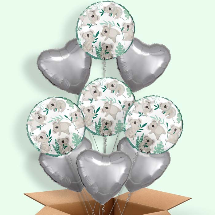 Koala Balloon in a Box - 9 Balloon | Small Indoor Plants