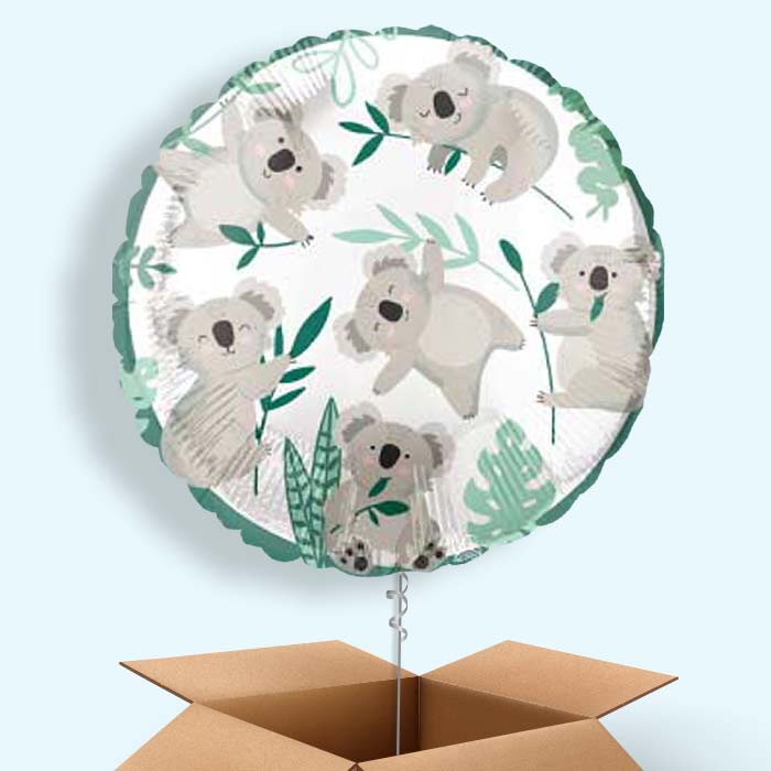 Koala Balloon in a Box - 1 Balloon | Small Indoor Plants