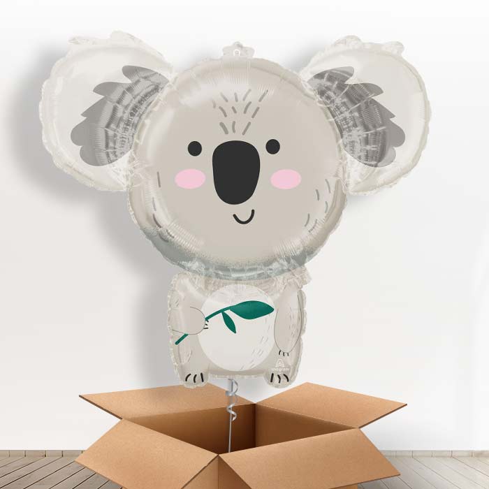 Koala Giant Balloon in a Box Gift