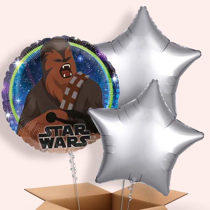 Star Wars Chewbacca Balloon in a Box - 3 Balloon | Small Indoor Plants