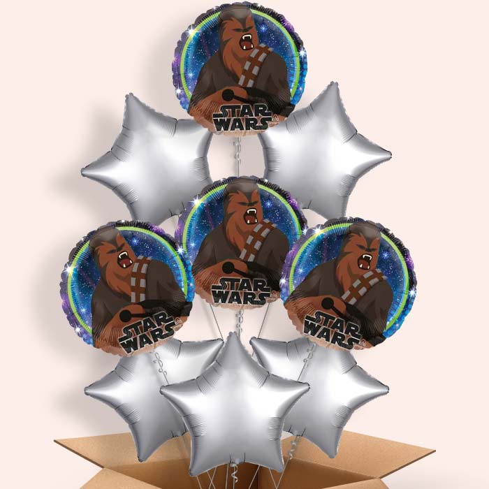 Star Wars Chewbacca Balloon in a Box - 9 Balloon | Small Indoor Plants