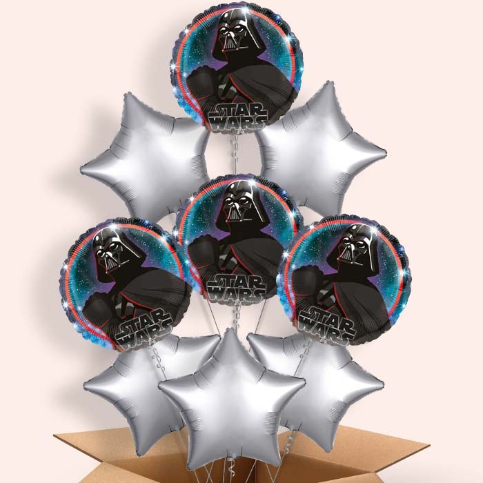 Darth Vader Helium Balloon in a Box - 9 Balloon | Small Indoor Plants