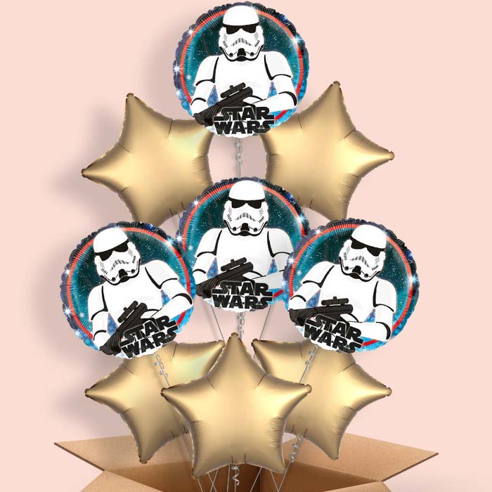 Storm Trooper Helium Balloon in a Box Gift - 9 Balloon | Small Indoor Plants