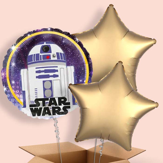 Star Wars R2D2 Helium Balloons in a Box - 3 Balloon | Small Indoor Plants