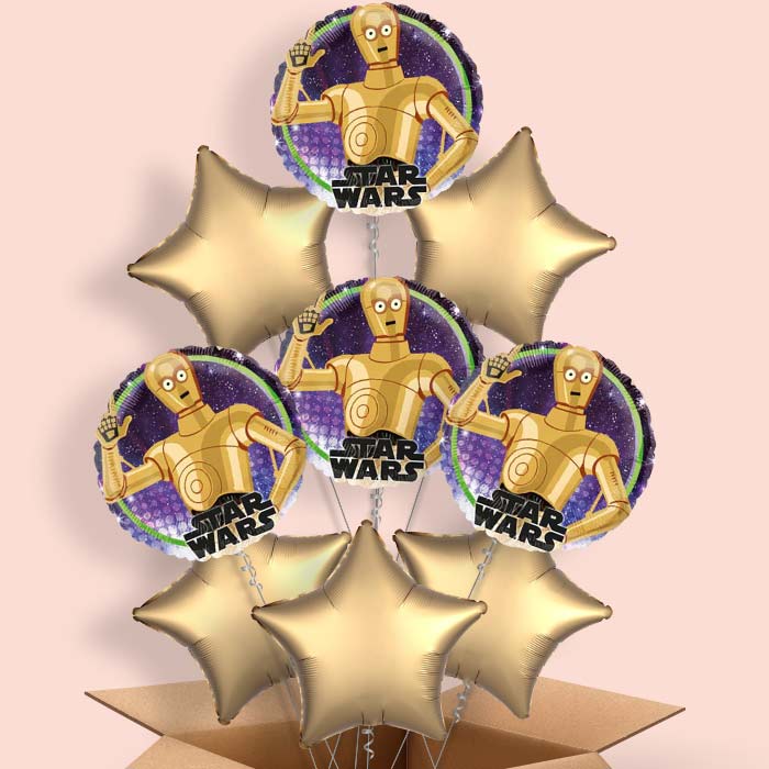 Star Wars C-3PO Balloon in a Box - 9 Balloon | Small Indoor Plants