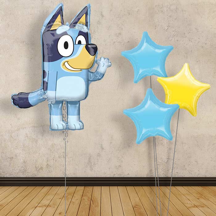 Bluey Balloon Bouquet in a Box