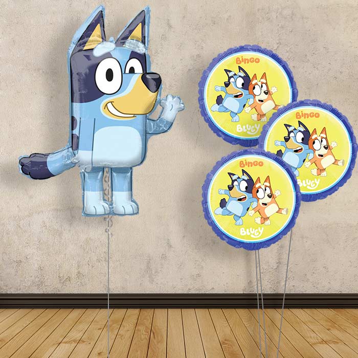 Bluey Balloon Bouquet in a Box
