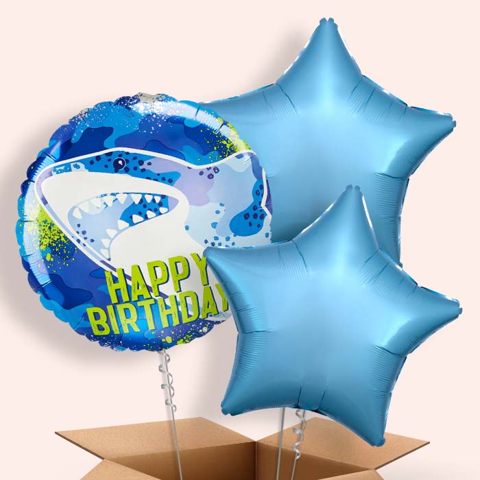 Shark Birthday Helium Balloon in a Box - 3 Balloon | Small Indoor Plants
