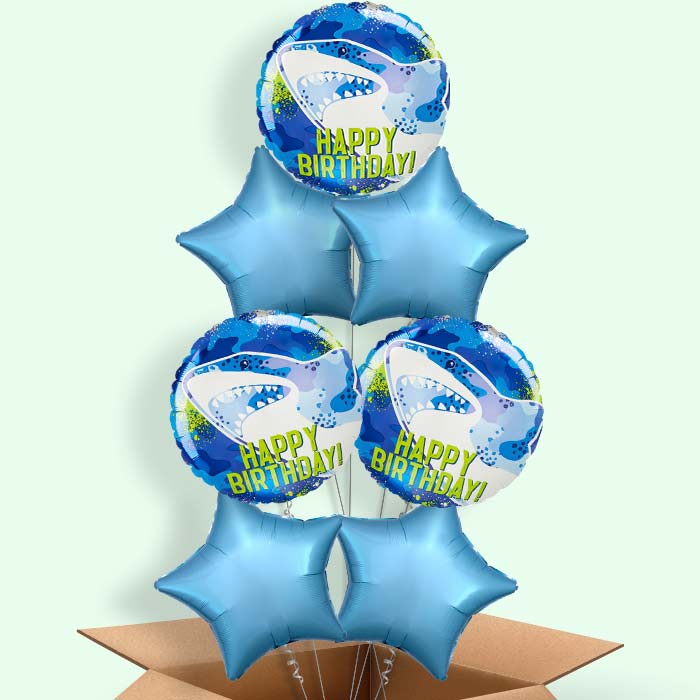 Shark Birthday Helium Balloon in a Box - 7 Balloon | Small Indoor Plants
