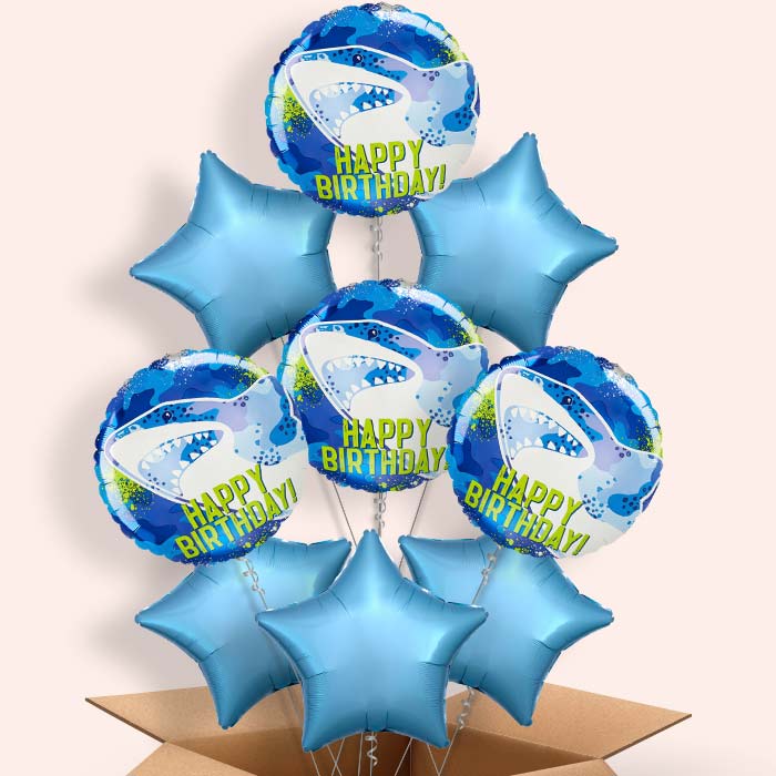 Shark Birthday Helium Balloon in a Box - 9 Balloon | Small Indoor Plants