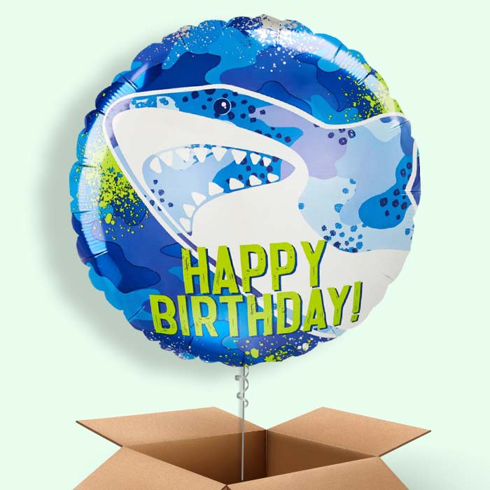 Shark Birthday Helium Balloon in a Box - 1 Balloon | Small Indoor Plants