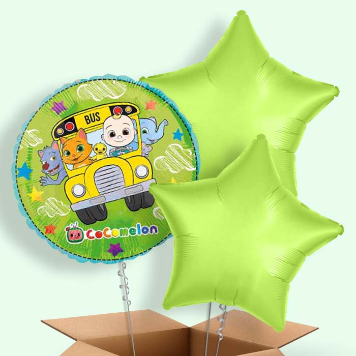 Cocomelon Balloon in a Box - 3 Balloon | Small Indoor Plants