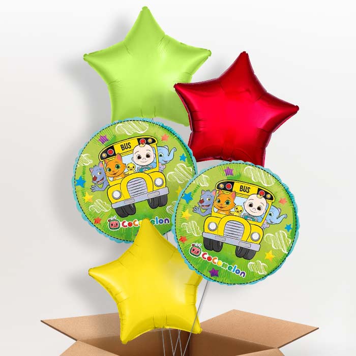 Cocomelon Balloon in a Box - 5 Balloon | Small Indoor Plants
