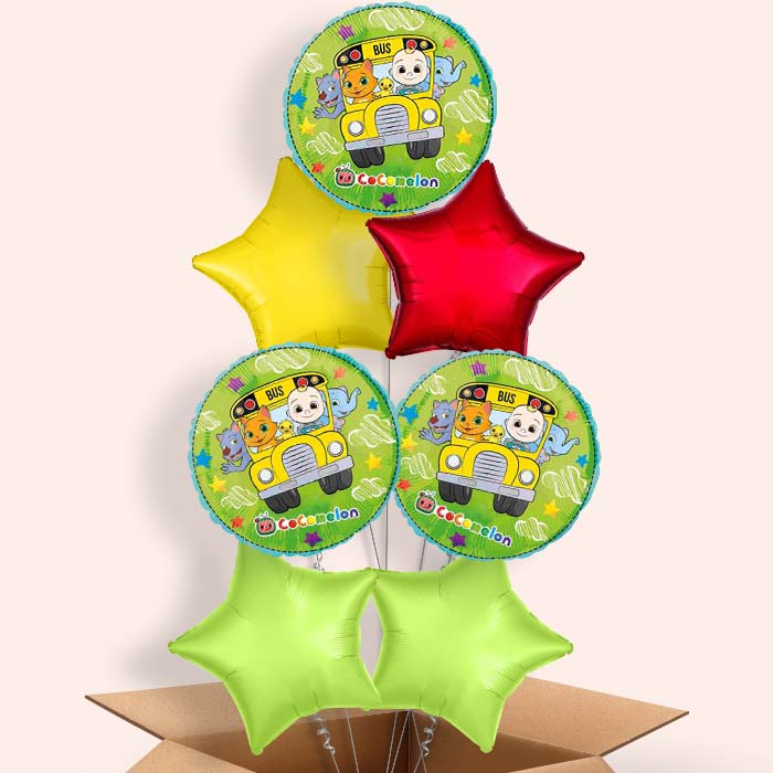 Cocomelon Balloon in a Box - 7 Balloon | Small Indoor Plants