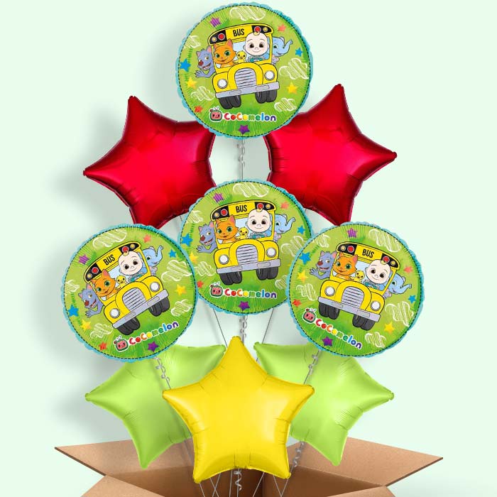 Cocomelon Balloon in a Box - 9 Balloon | Small Indoor Plants