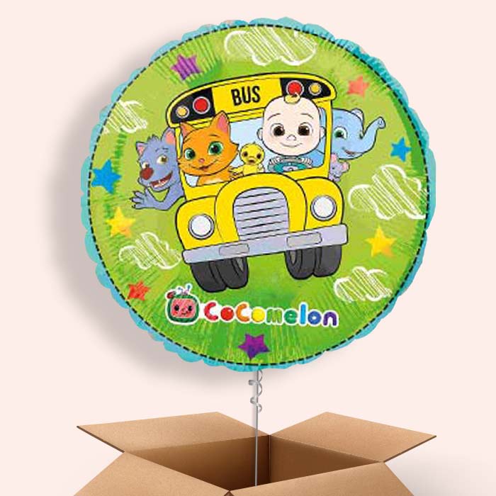 Cocomelon Balloon in a Box - 1 Balloon | Small Indoor Plants