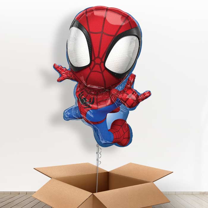 Shaped Spiderman Balloons in a Box Gift - Giant Balloon | Small Indoor Plants