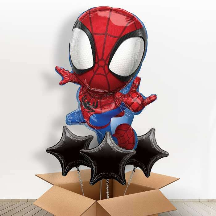 BOX4427801-with-3-Plain-Balloons_59ba0725-9ece-475b-9db2-9a472efeab02