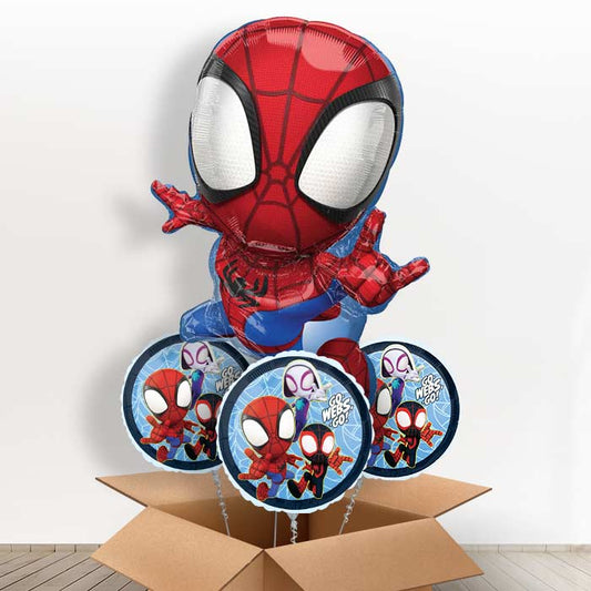 Shaped Spiderman Balloons in a Box Gift - With 3 Themed Balloons | Small Indoor Plants