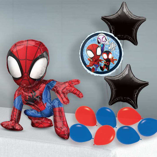 Spidey Sitter Balloon Package Delivered - Sitter Package | Small Indoor Plants