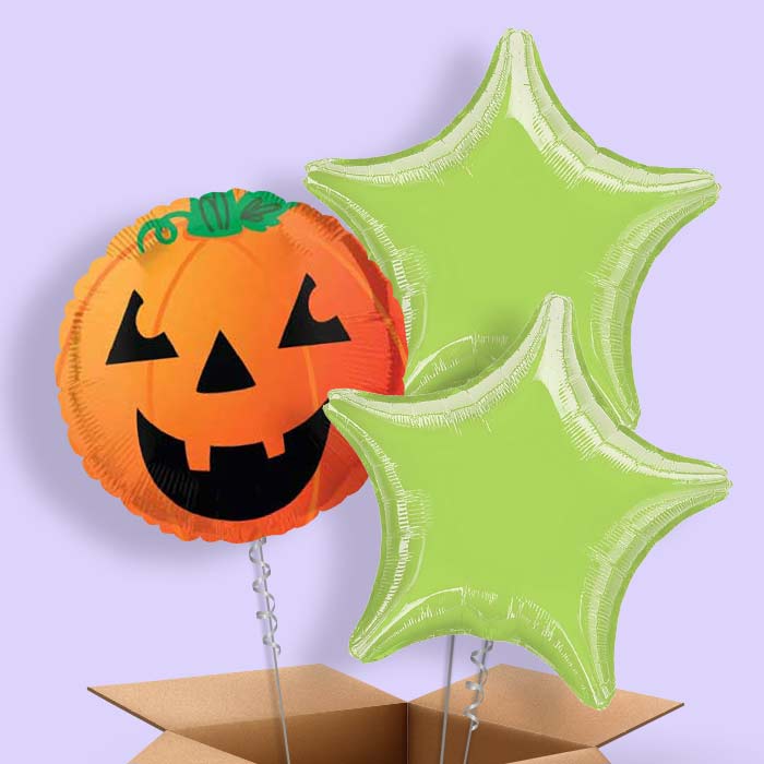 Pumpkin Balloons in a Box - 3 Balloon | Small Indoor Plants