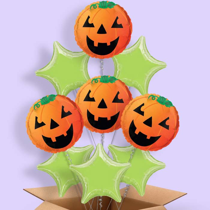 Pumpkin Balloons in a Box - 9 Balloon | Small Indoor Plants