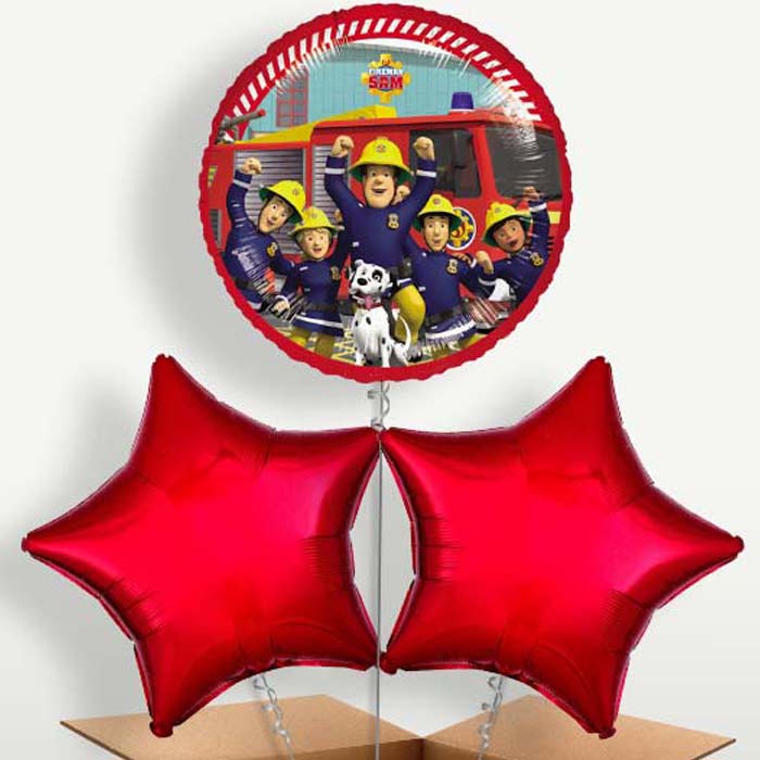 Fireman Sam & Friends Trio Balloon Bunch | Small Indoor Plants