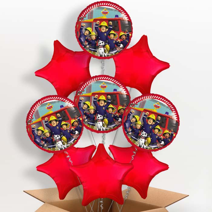 Fireman Sam and Friends Foil Balloon in a Box - 9 Balloon | Small Indoor Plants