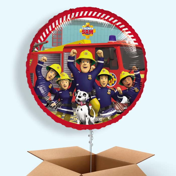 Fireman Sam and Friends Foil Balloon in a Box - 1 Balloon | Small Indoor Plants