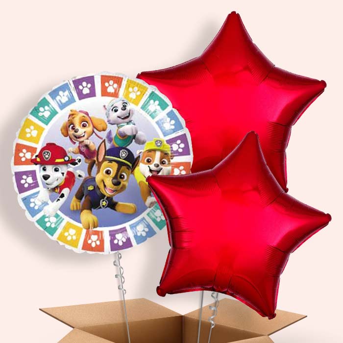 Colourful Paw Patrol Balloons Delivered in a Box - 3 Balloon | Small Indoor Plants