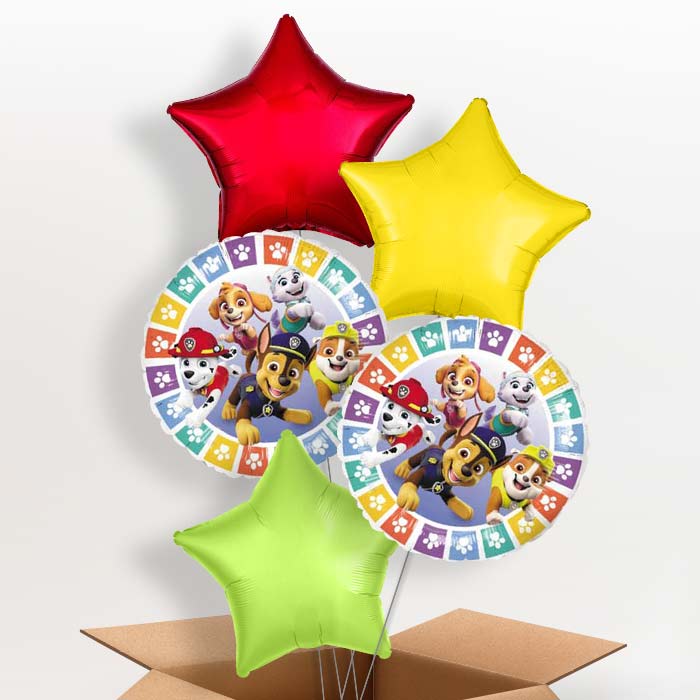 Colourful Paw Patrol Balloons Delivered in a Box - 5 Balloon | Small Indoor Plants