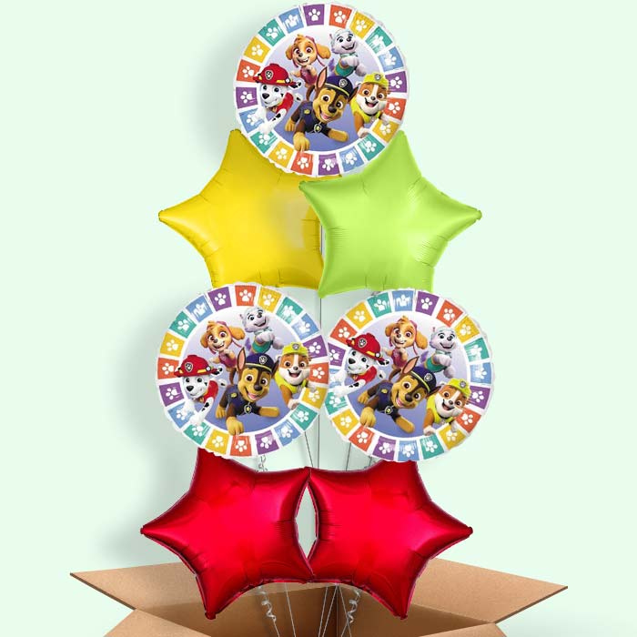 Colourful Paw Patrol Balloons Delivered in a Box - 7 Balloon | Small Indoor Plants