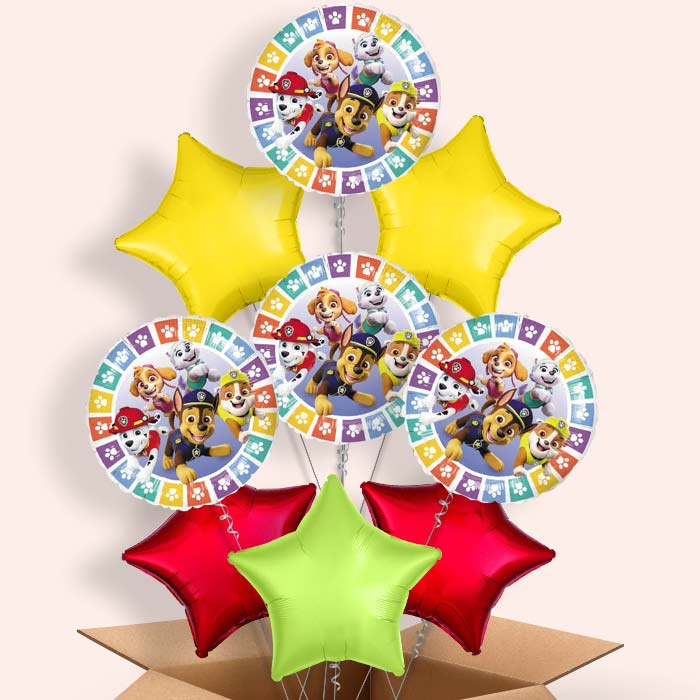 Colourful Paw Patrol Balloons Delivered in a Box - 9 Balloon | Small Indoor Plants