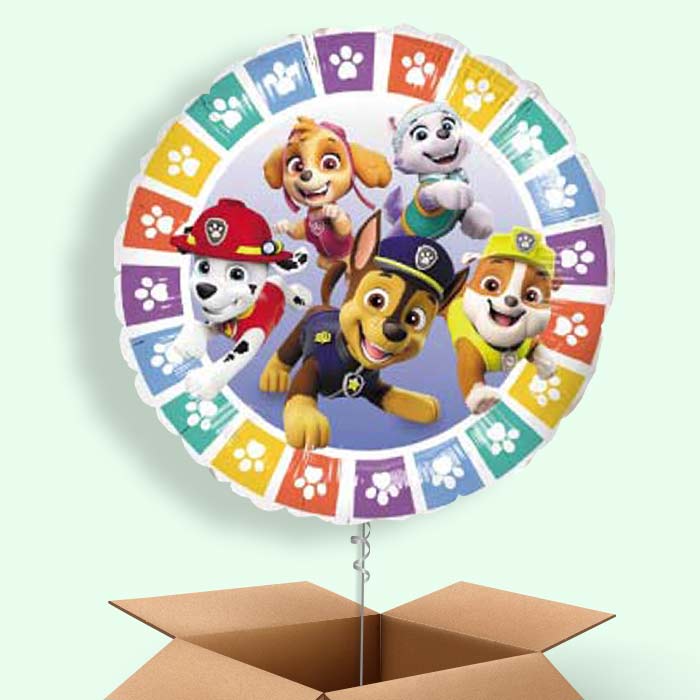 Colourful Paw Patrol Balloons Delivered in a Box - 1 Balloon | Small Indoor Plants