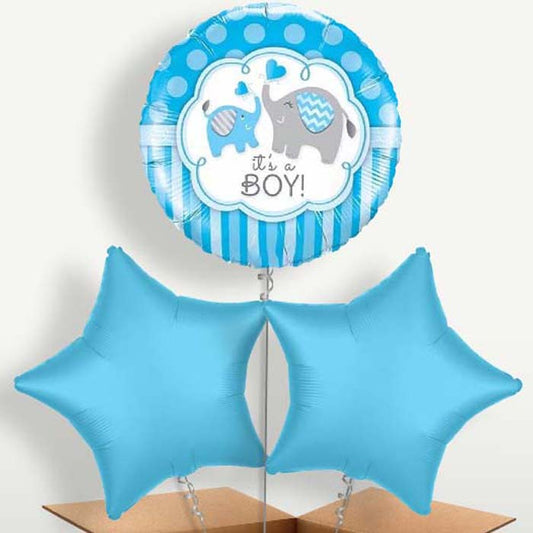 Welcome Home Baby Boy Elephant Helium Bunch of Balloons | Small Indoor Plants