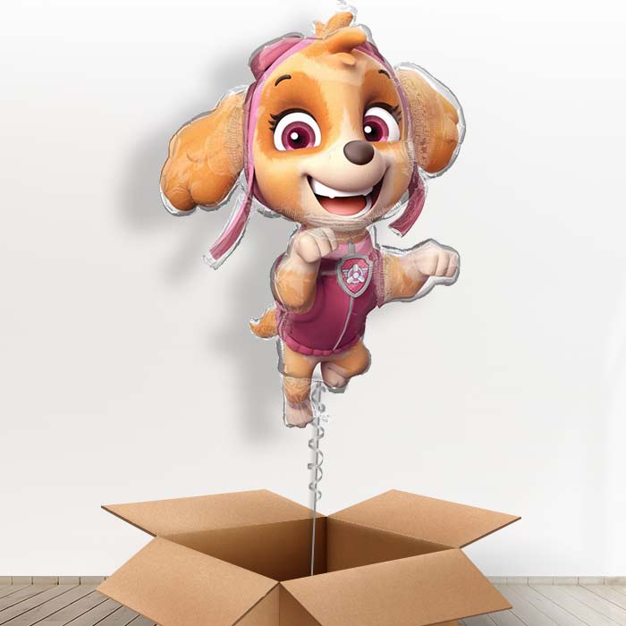 Shaped Skye Paw Patrol Foil Balloon in a Box - Giant Balloon | Small Indoor Plants