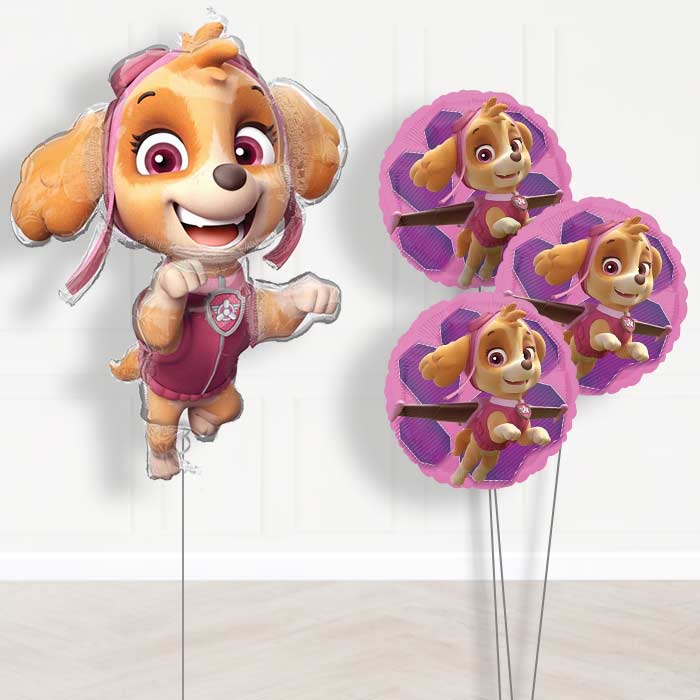 Shaped Skye Paw Patrol Balloon Bouquet Delivery - Themed Bouquet | Small Indoor Plants