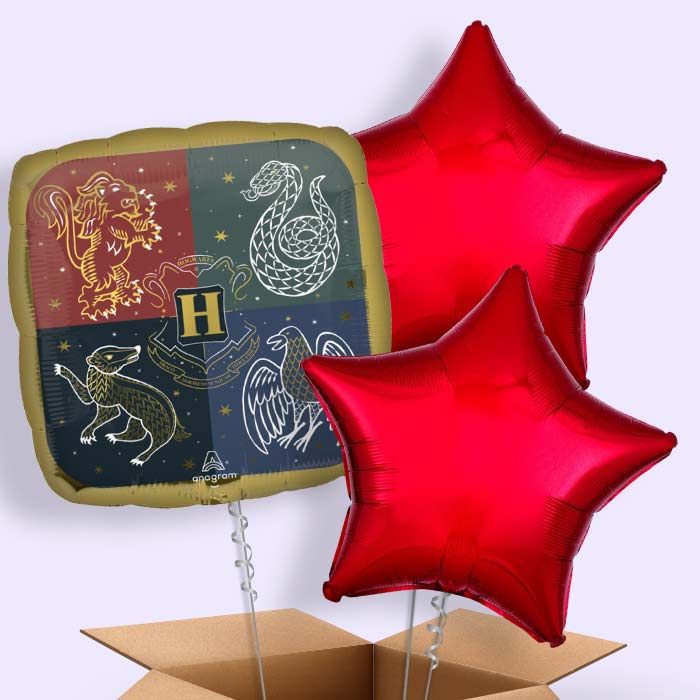 Harry Potter Hogwarts Crest Balloon in a Box - 3 Balloon | Small Indoor Plants