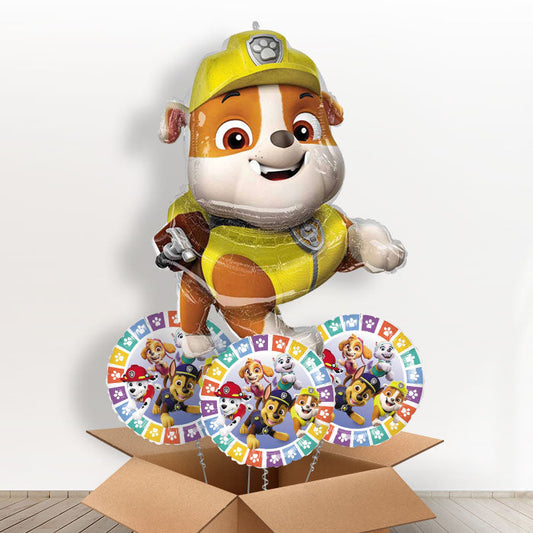 Paw Patrol Rubble Balloon in a Box - With 3 Themed Balloons | Small Indoor Plants