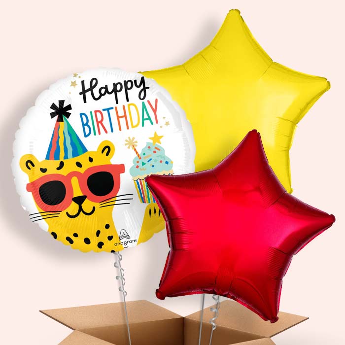 Cheetah Party Animal Birthday Helium Balloon in a Box - 3 Balloon | Small Indoor Plants