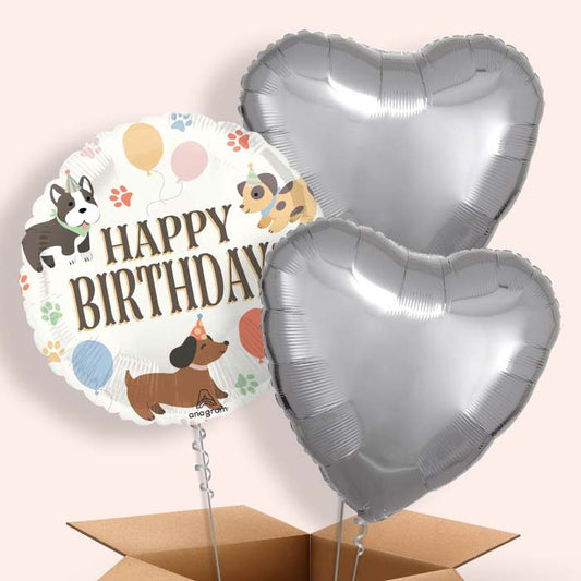 Dog Happy Birthday Helium Balloon in a Box - 3 Balloon | Small Indoor Plants