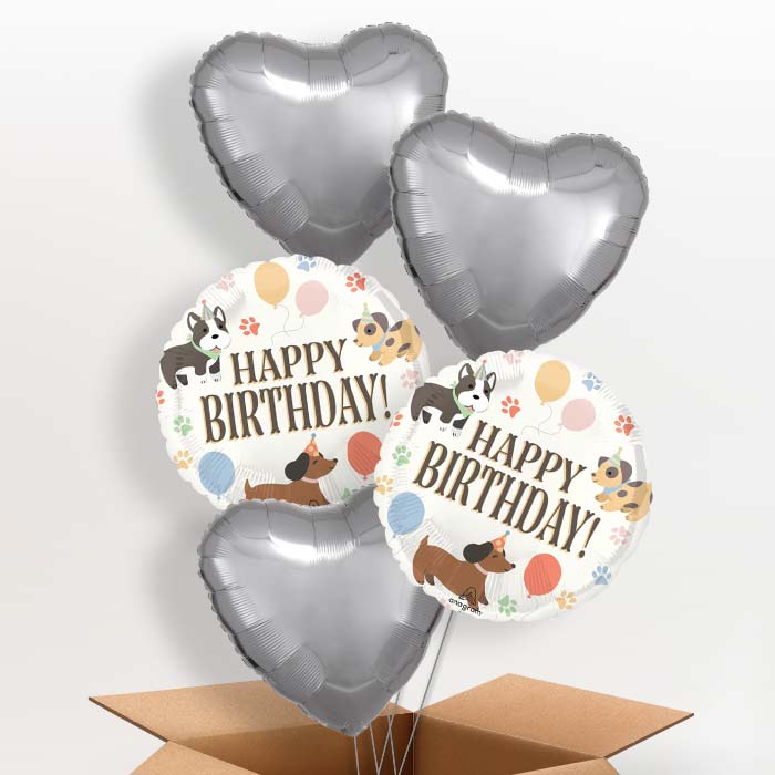 Dog Happy Birthday Helium Balloon in a Box - 5 Balloon | Small Indoor Plants