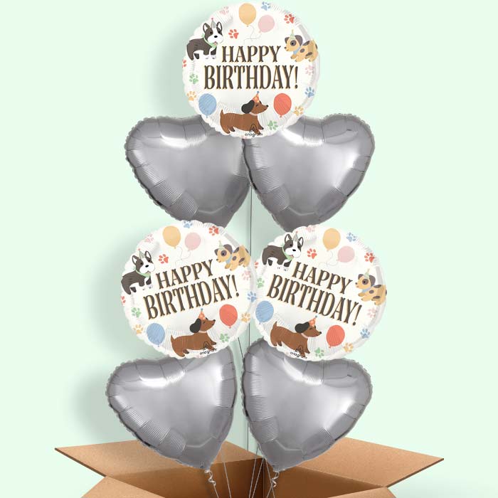 Dog Happy Birthday Helium Balloon in a Box - 7 Balloon | Small Indoor Plants