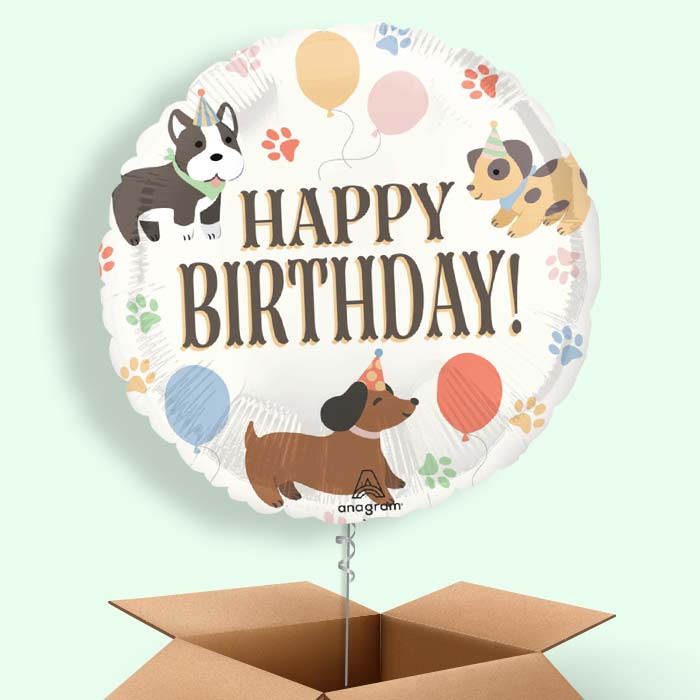 Dog Happy Birthday Helium Balloon in a Box - 1 Balloon | Small Indoor Plants