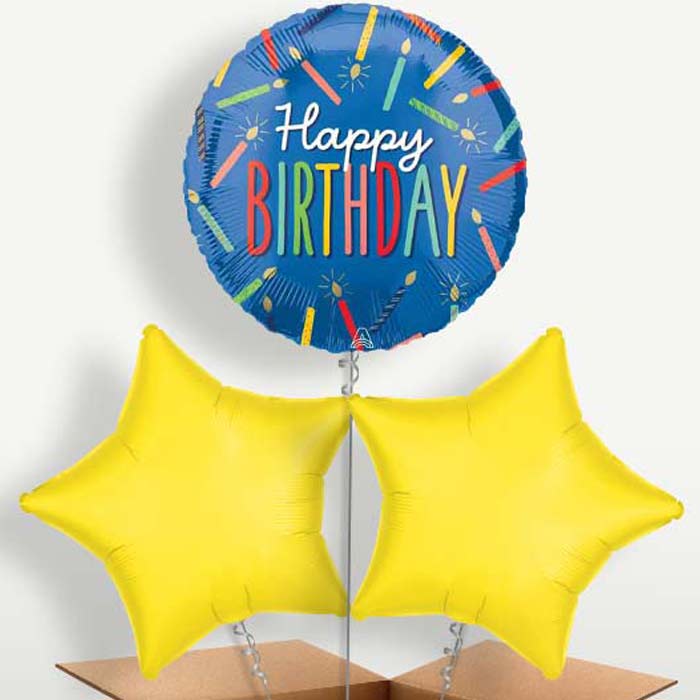 Blue Happy Birthday Candles Bunch of Balloons | Small Indoor Plants